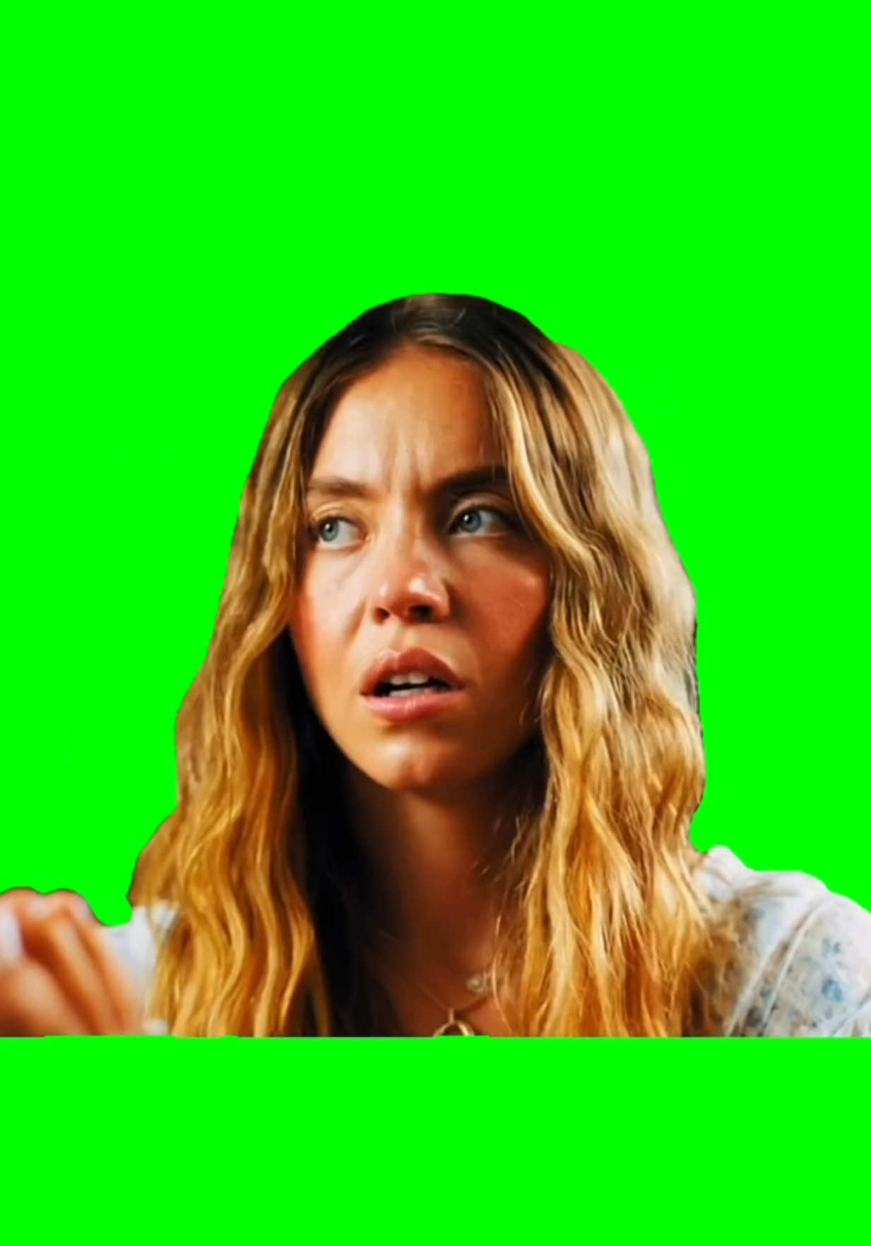 @Green Screen Memes