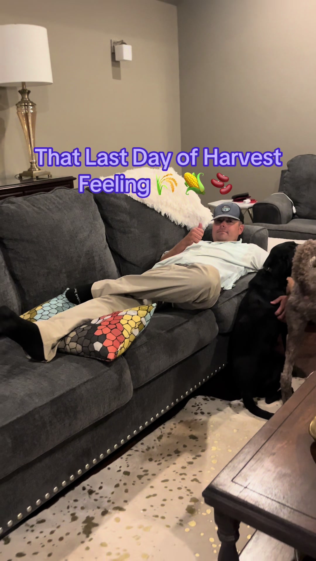 @hookfamilyfarms