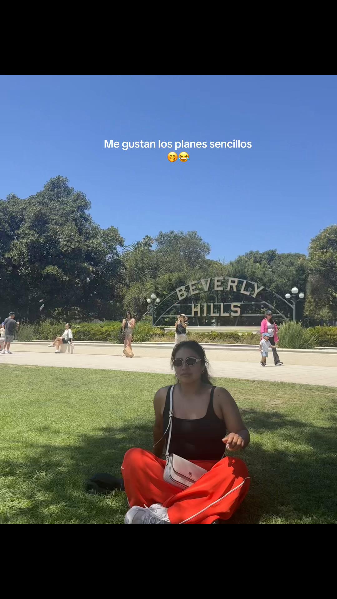 @IRIS🌸