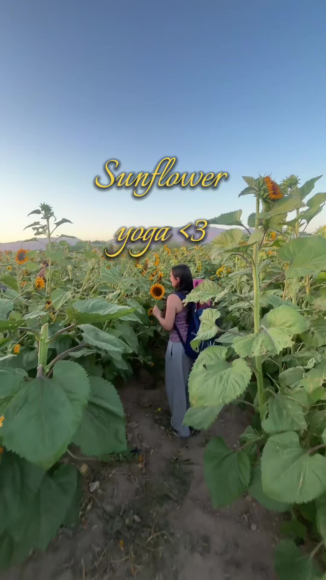 @maya