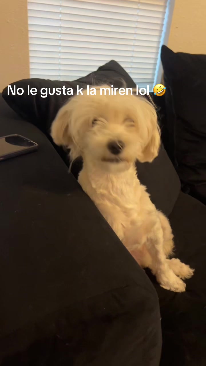 @karolmarco