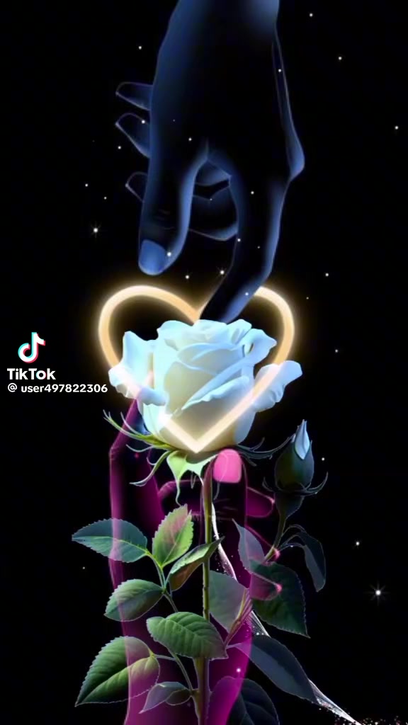 @Safran🍃Sana🍃N. S 🫂