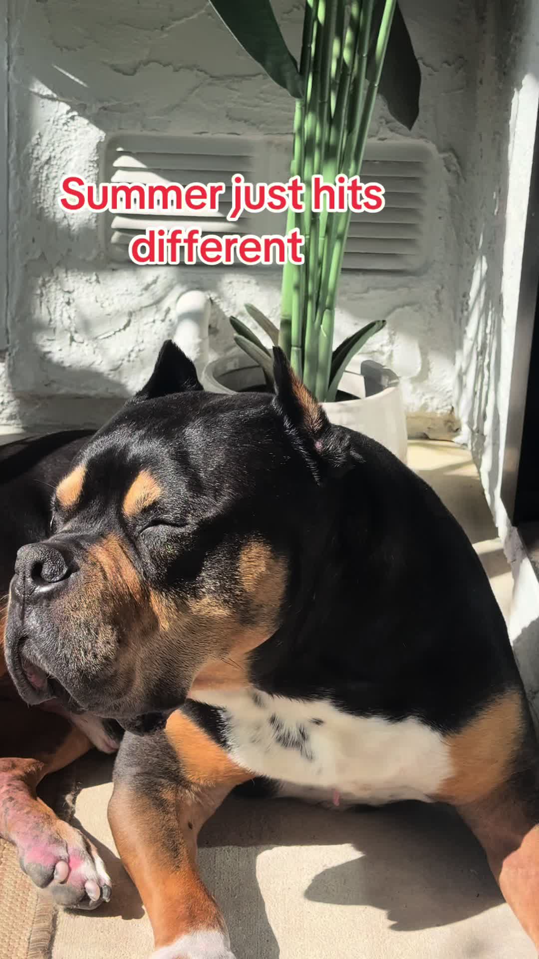 @Tater On TikTok