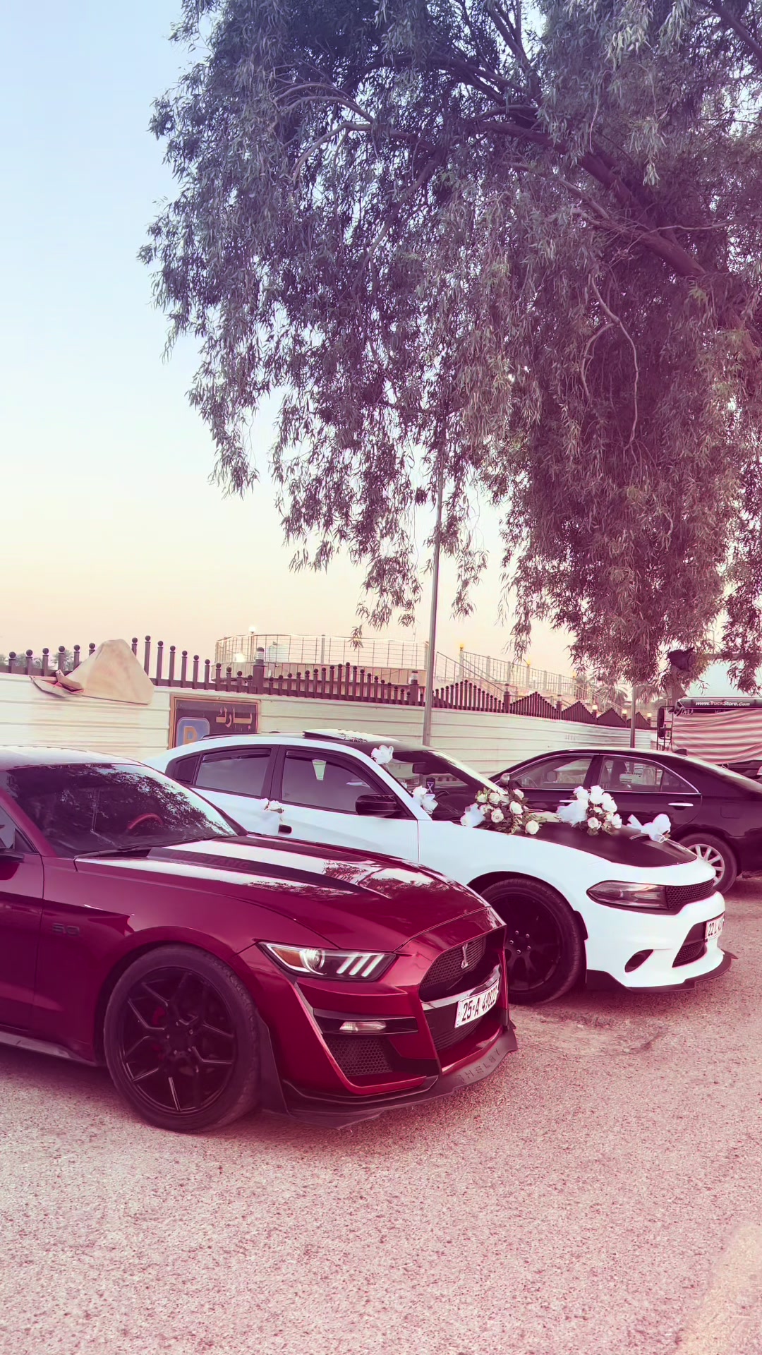 @عبدالقادر الهاشمي ✪