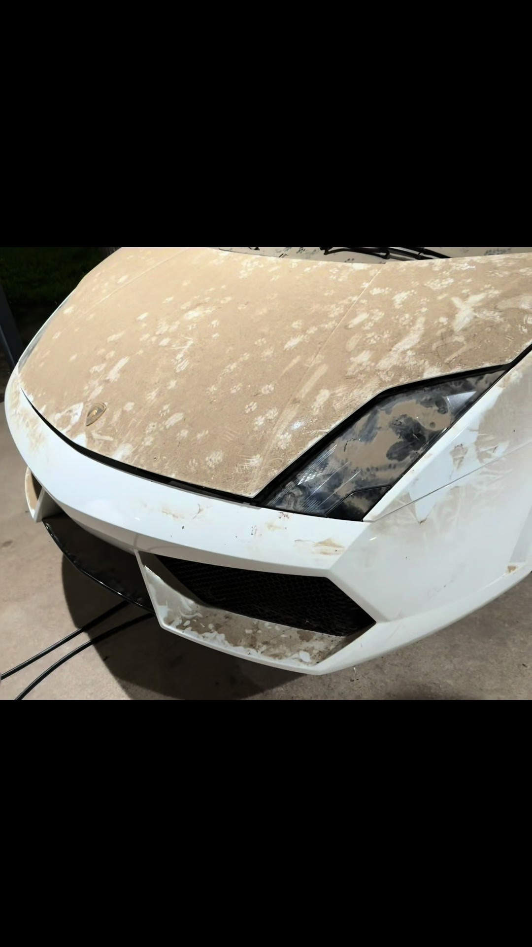 @AledoAutoGrooming&Detail