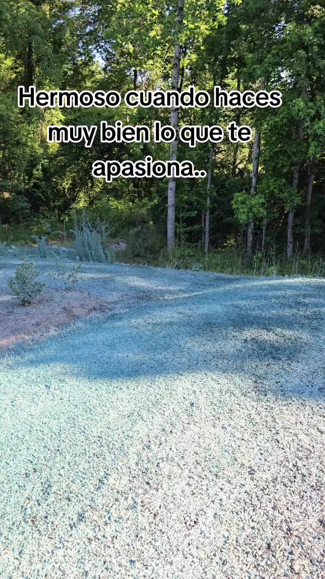 @Roque 505 Momo⛰️