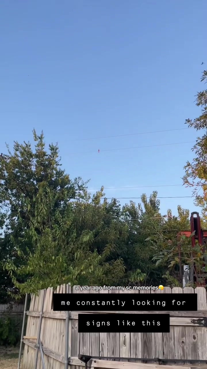@l e o n a