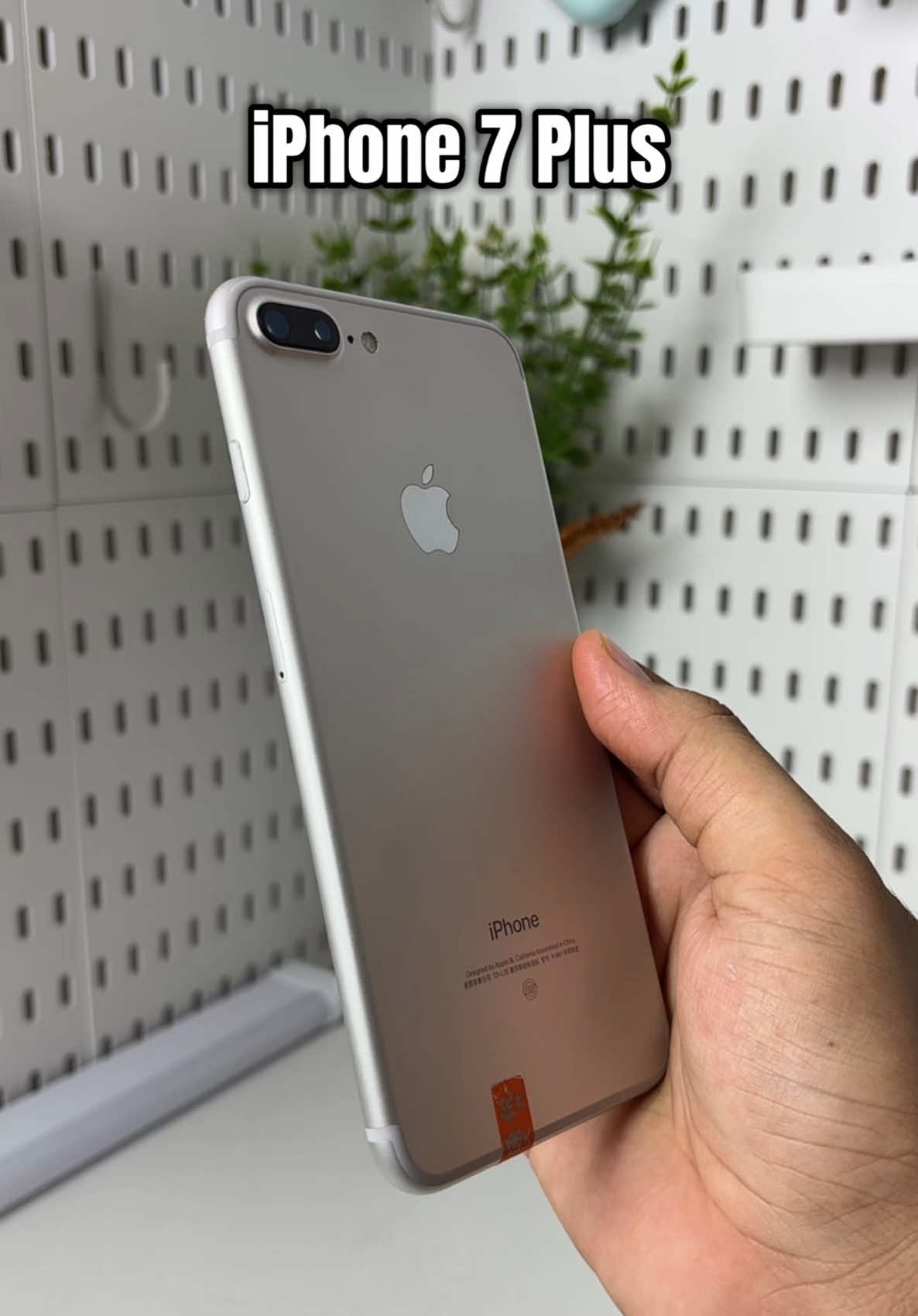 @iPhonary 🩷