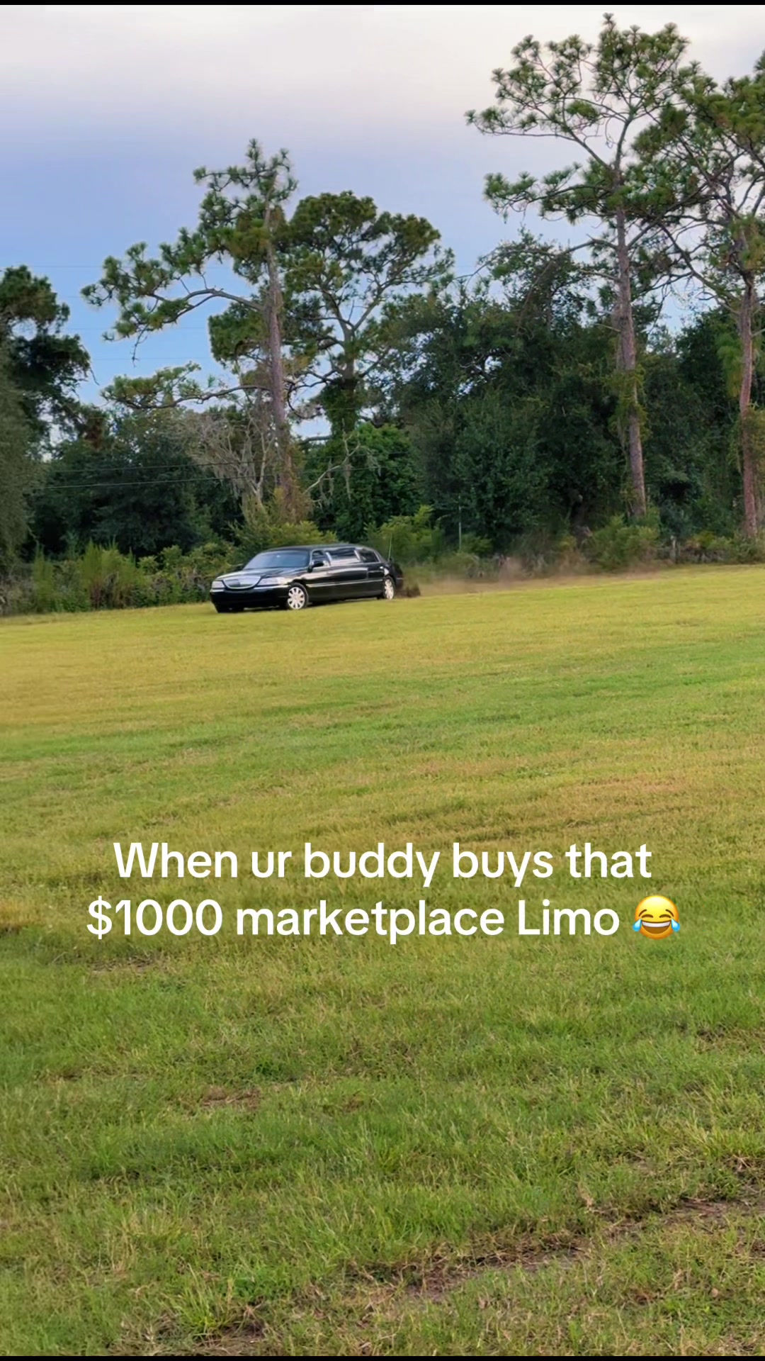 @Cole Nicholsonn