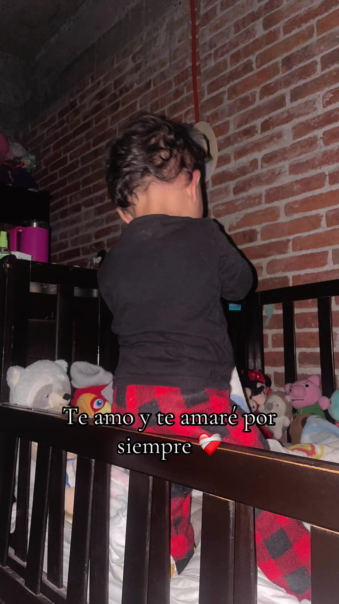 @Casita0