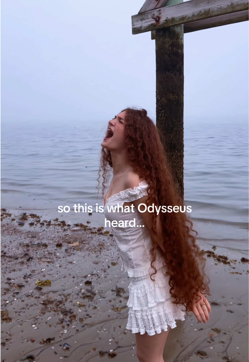 @BANSHEE