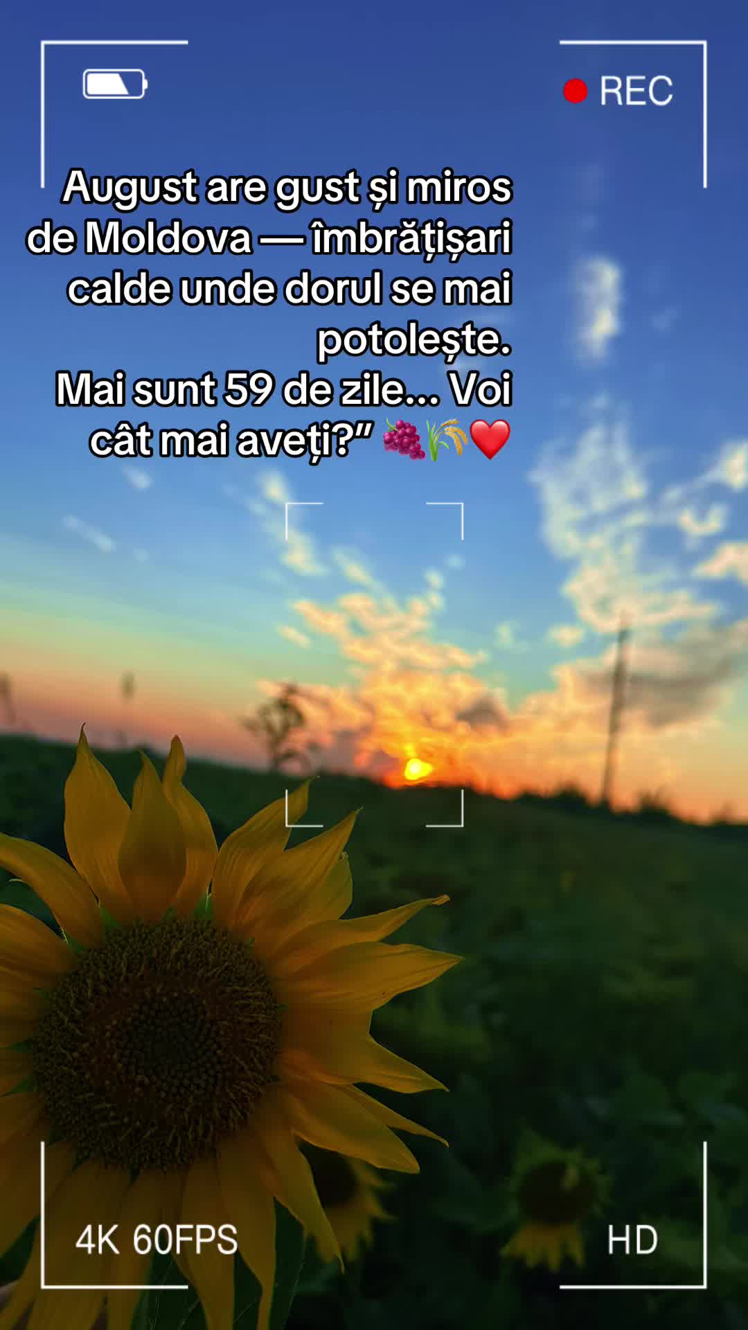 @Alina