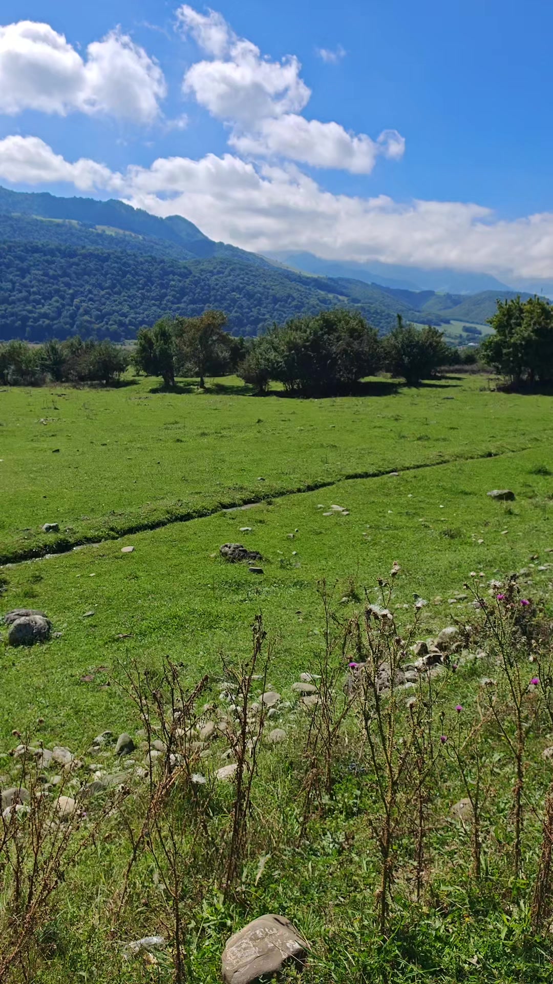 @Fikrət H&uuml;seynov