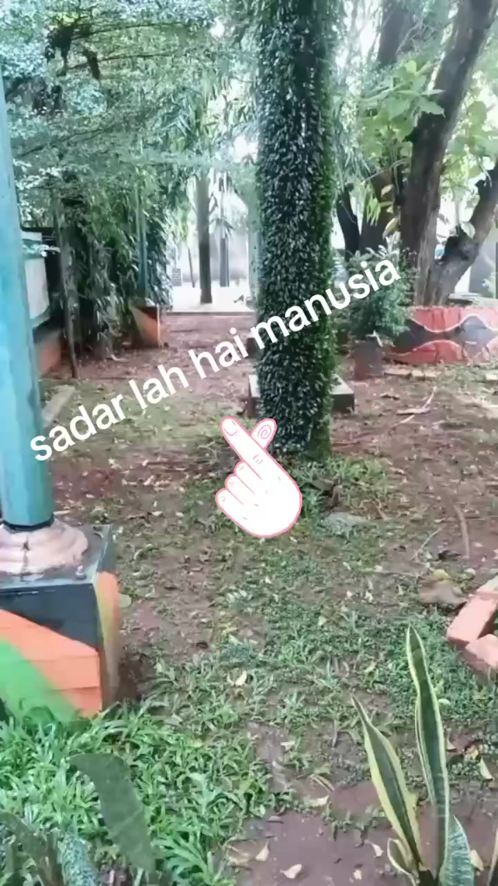 @she gundul
