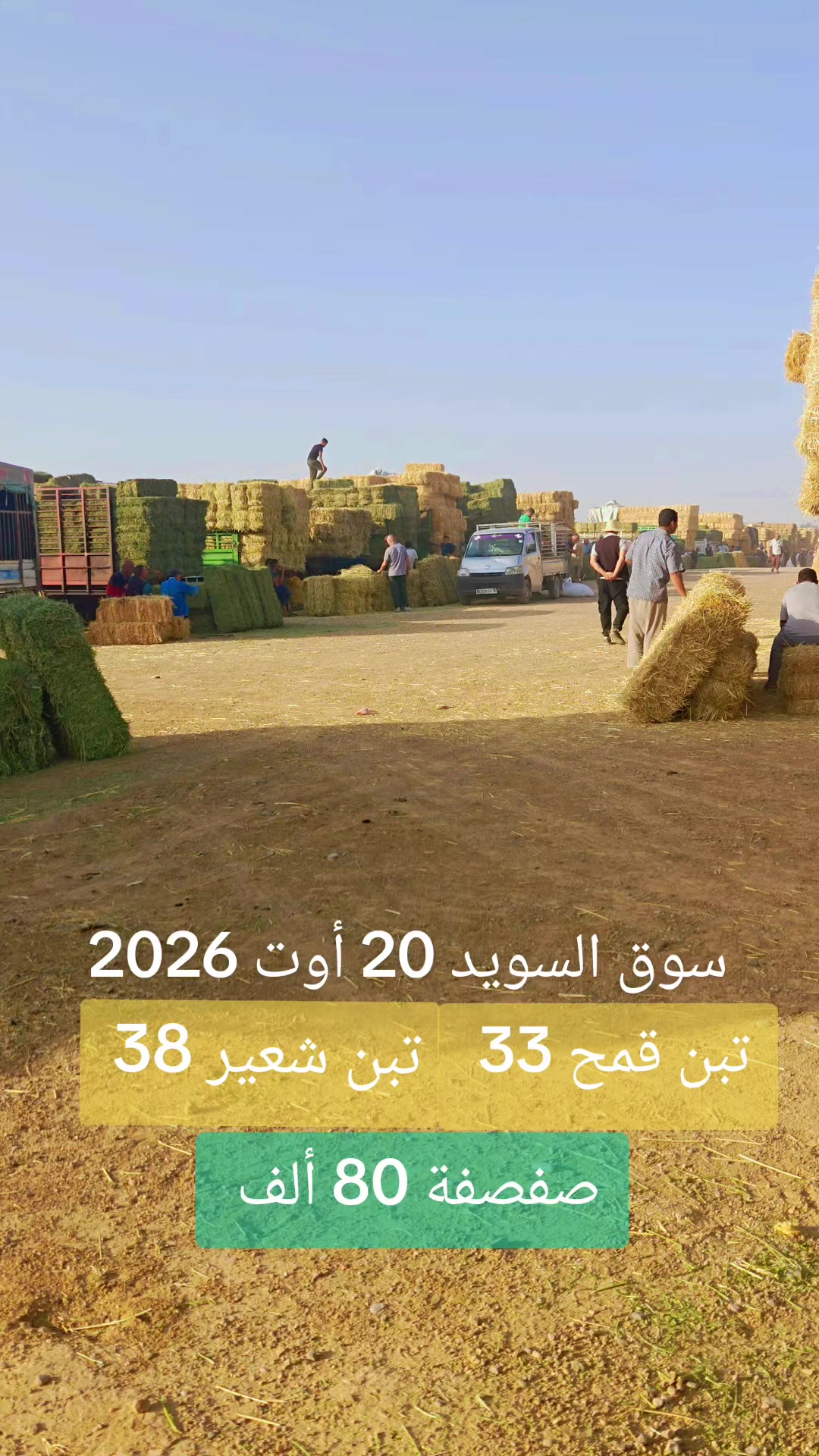 @الفلاحة في مسيلة