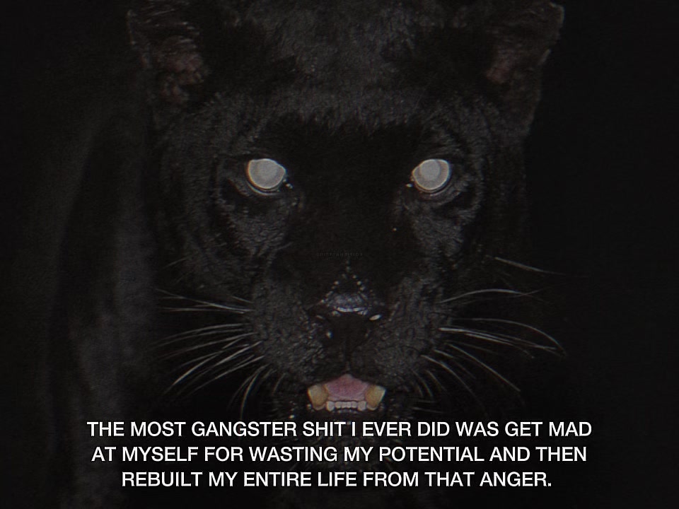 @Gritty Ambition