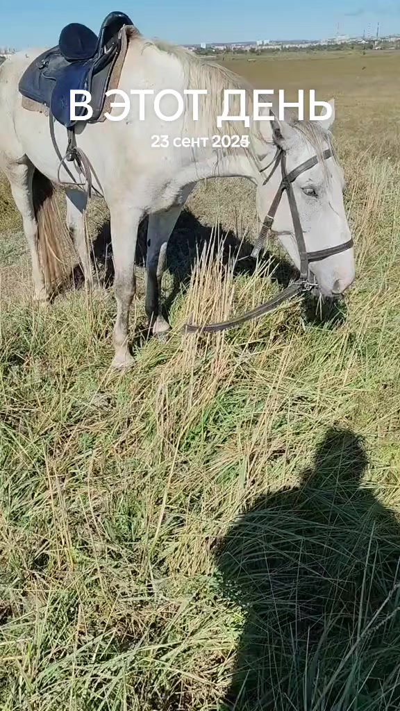 @гулак Юрий