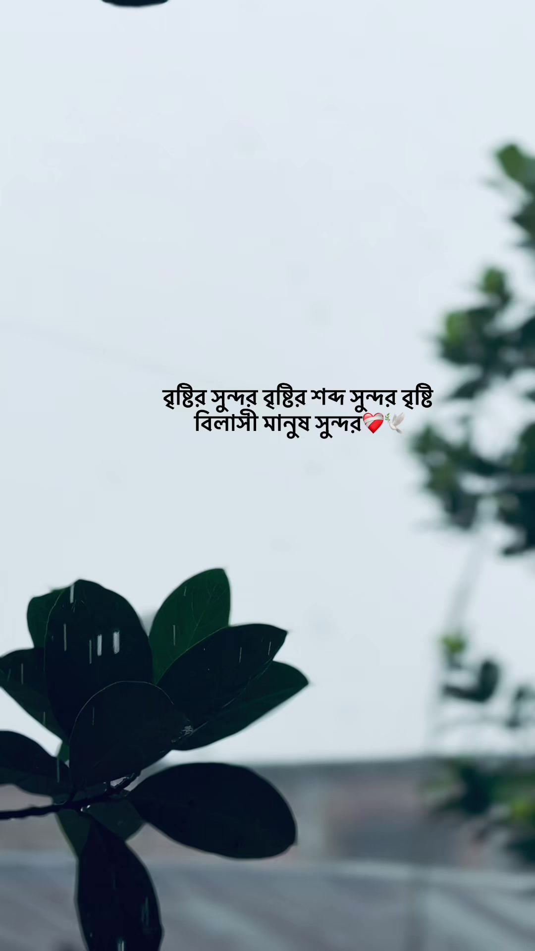 @HABIB_001