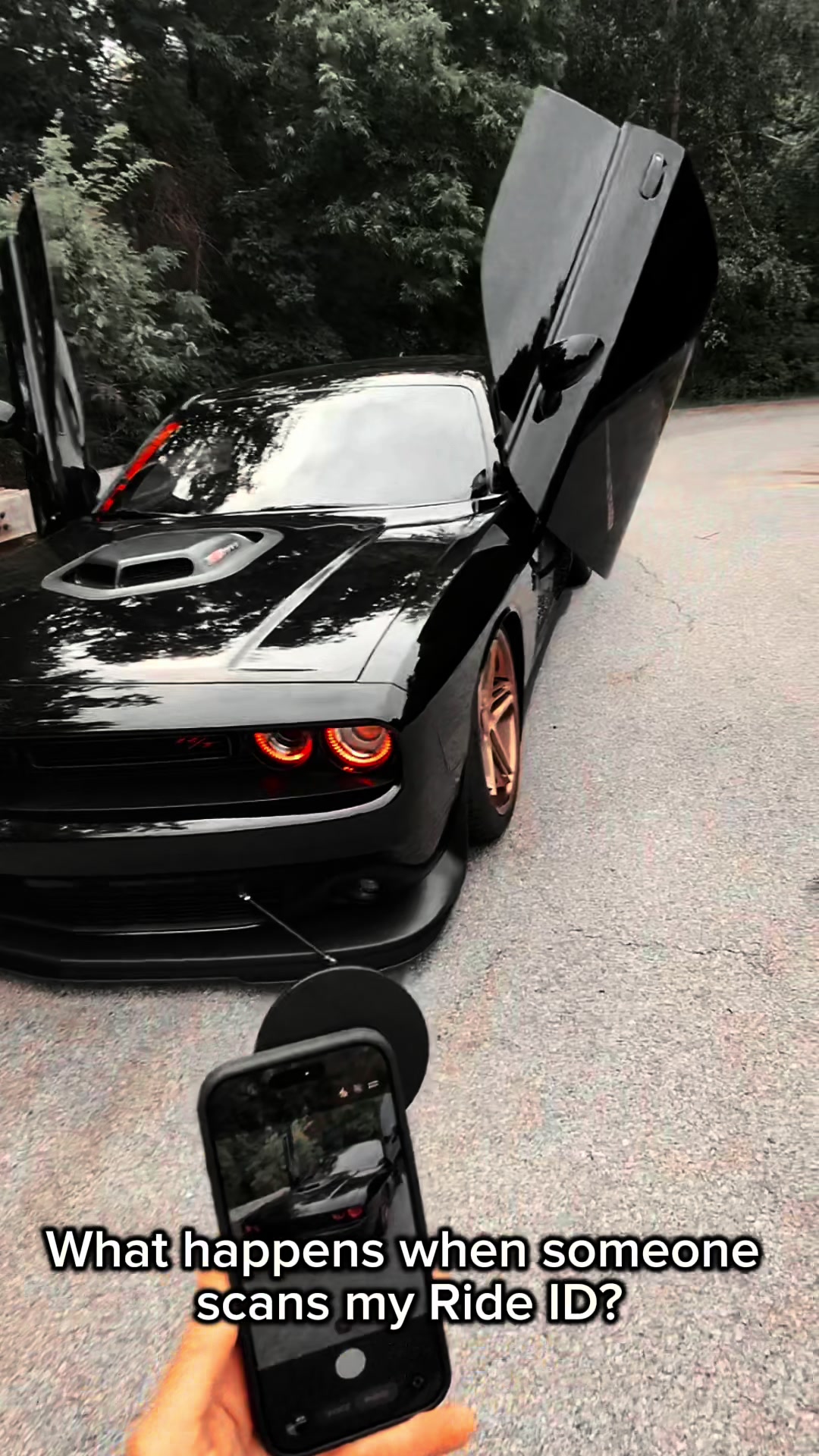@Scatpack Bee 🐝