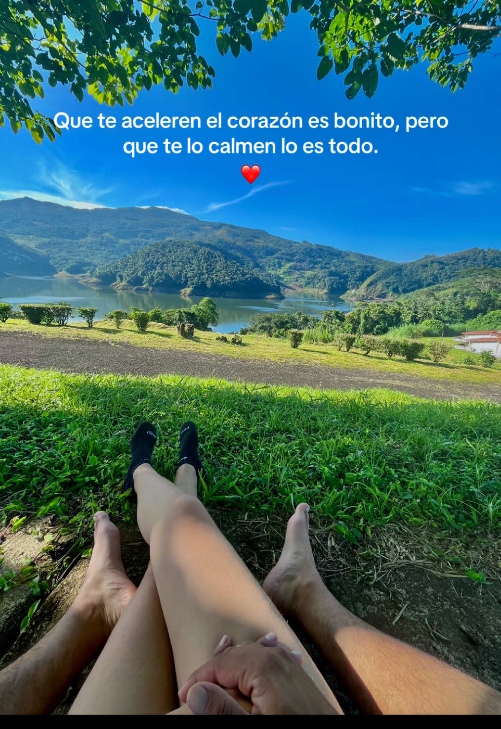 @Carla.y