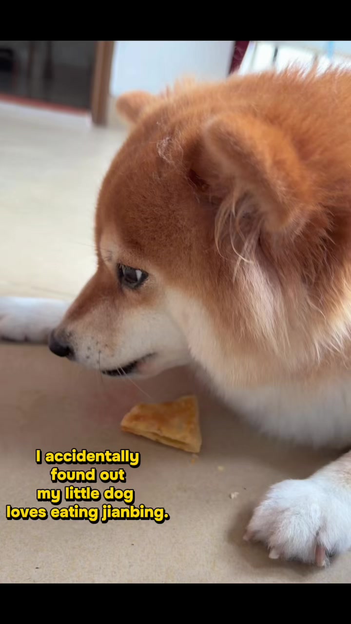 @Laifu
