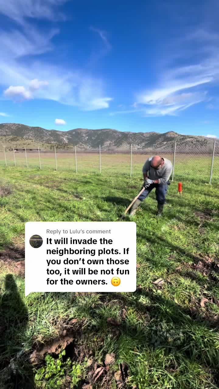 @Kalypso_permaculture_island