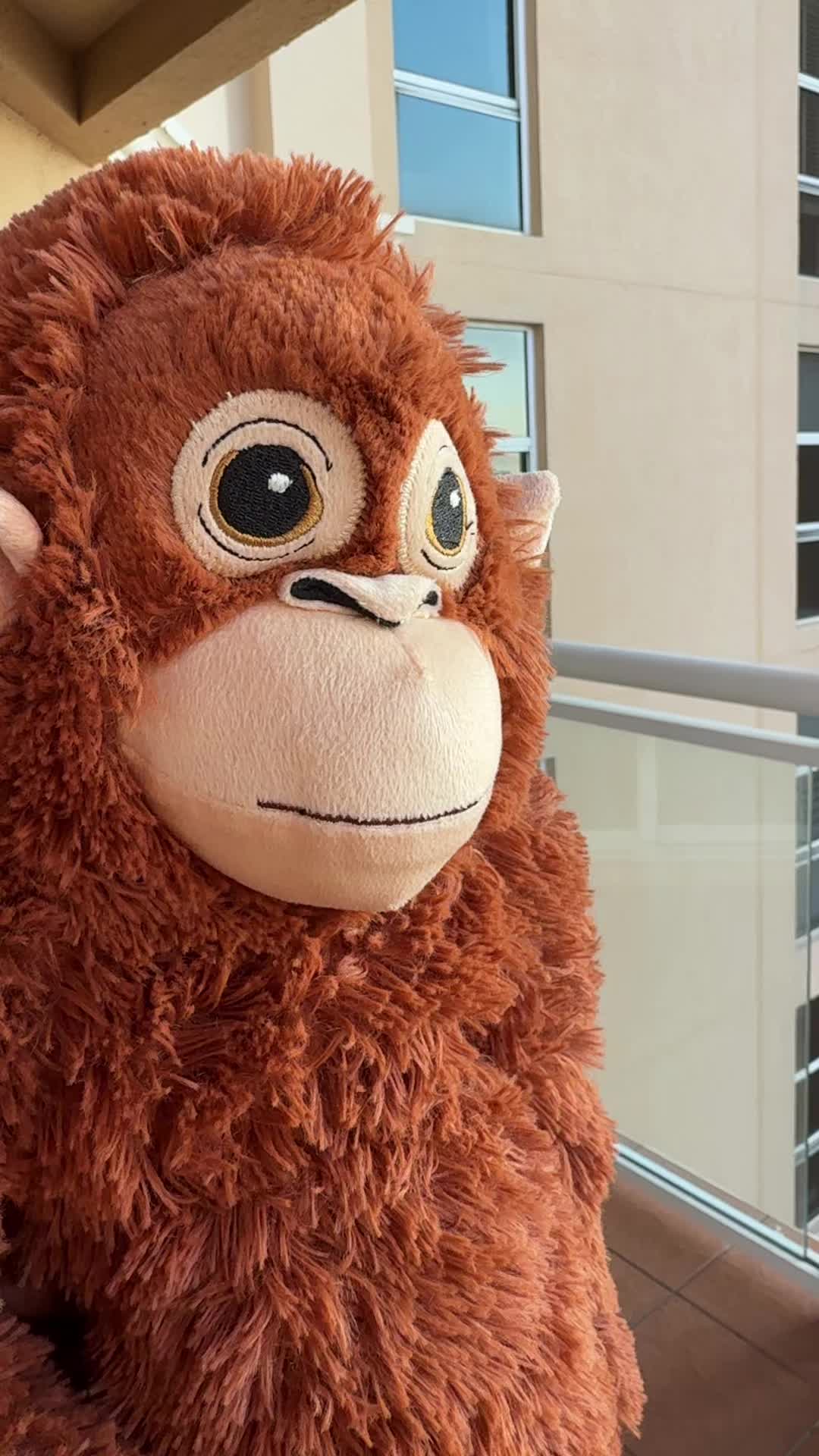 @Ziggy 🐵