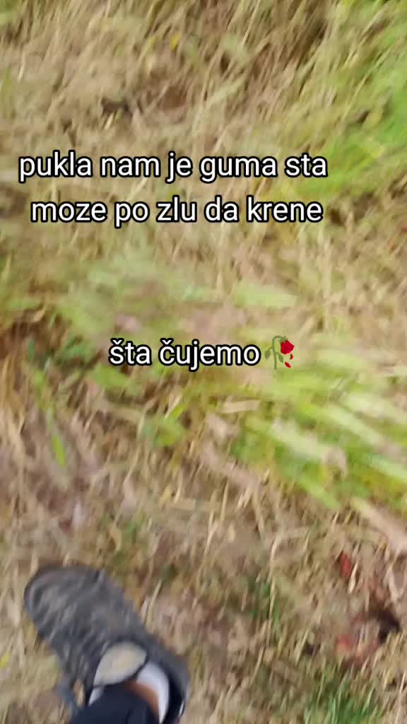 @Ŧ_Ř_&Aring;_Ĵ_Ķ_&Oslash;_V_Ş_Ķ_Ĩ🫡