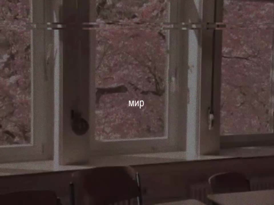@𝑒𝑙𝑖𝑣𝑎𝑛𝑠𝑎