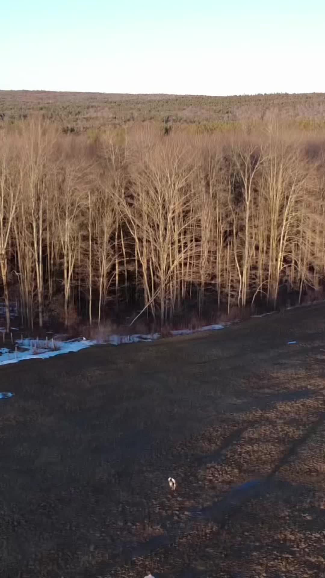 @tails_of_ty