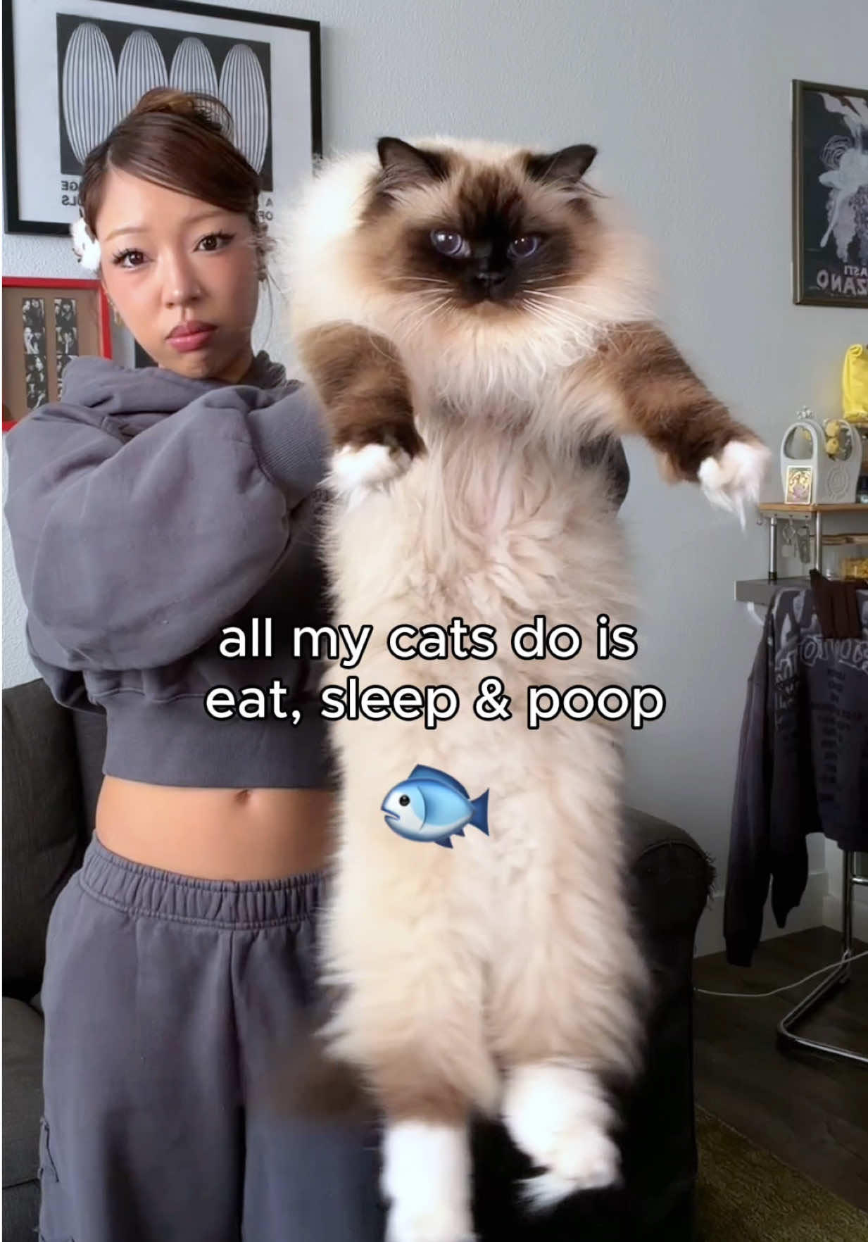 @jasmine le