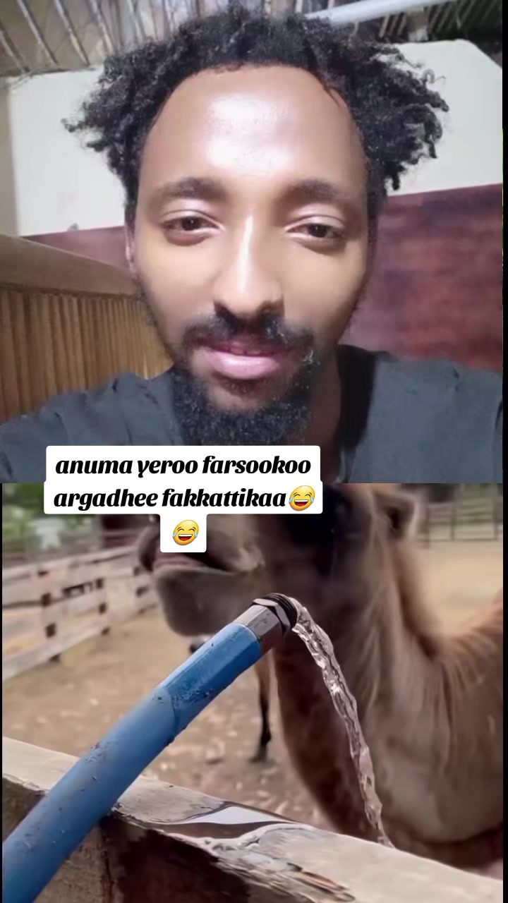 @Jiregna Damtew