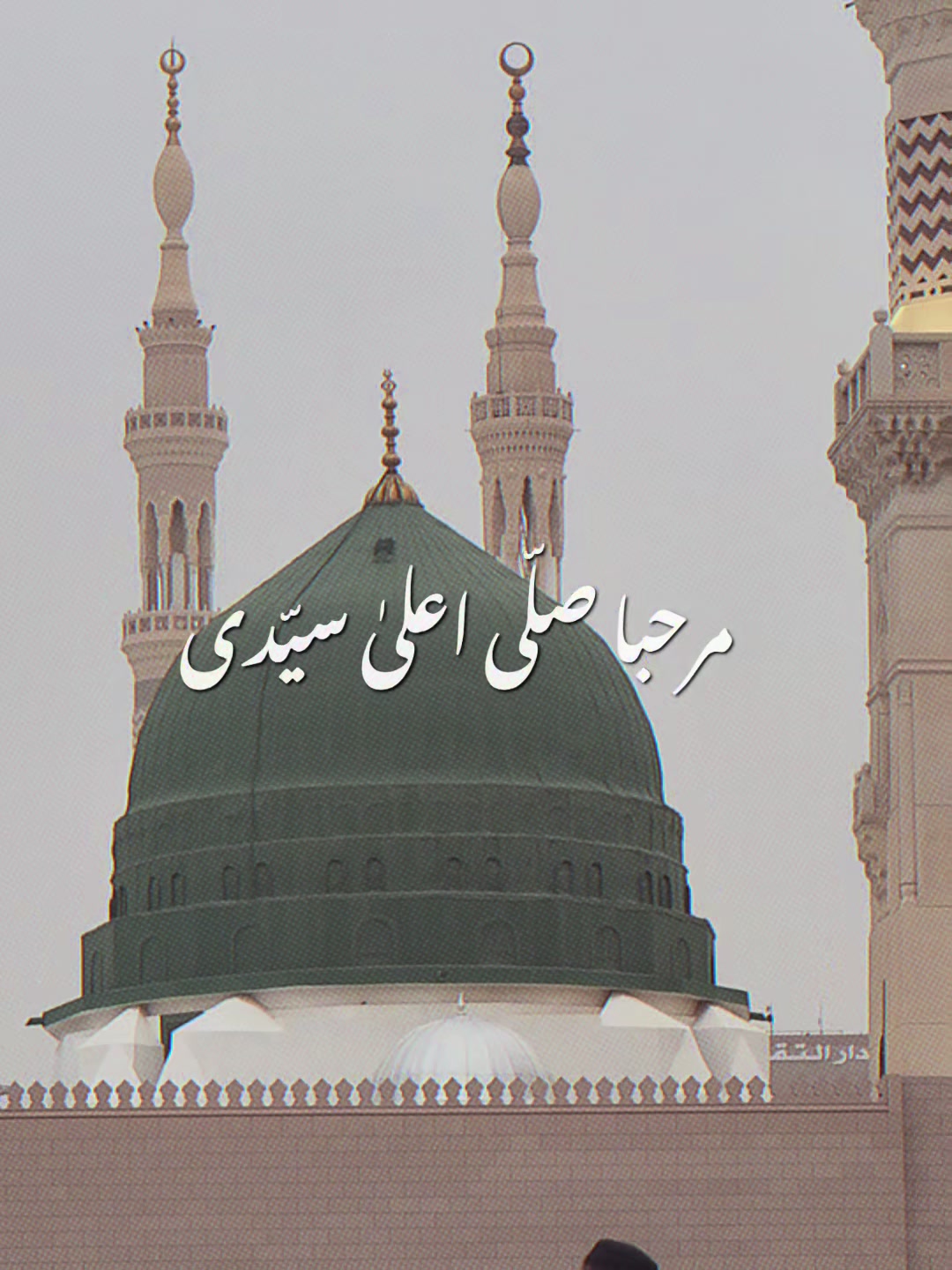 @Waqar GuL✅