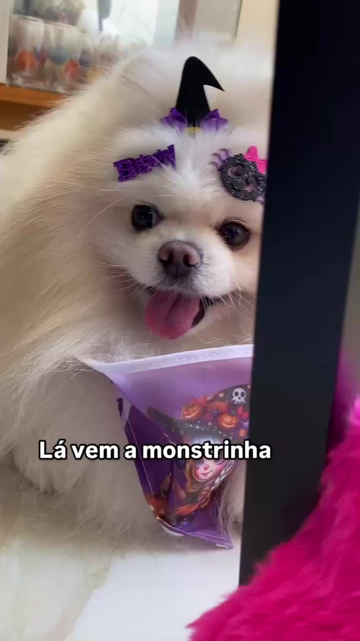 @Lasquinha
