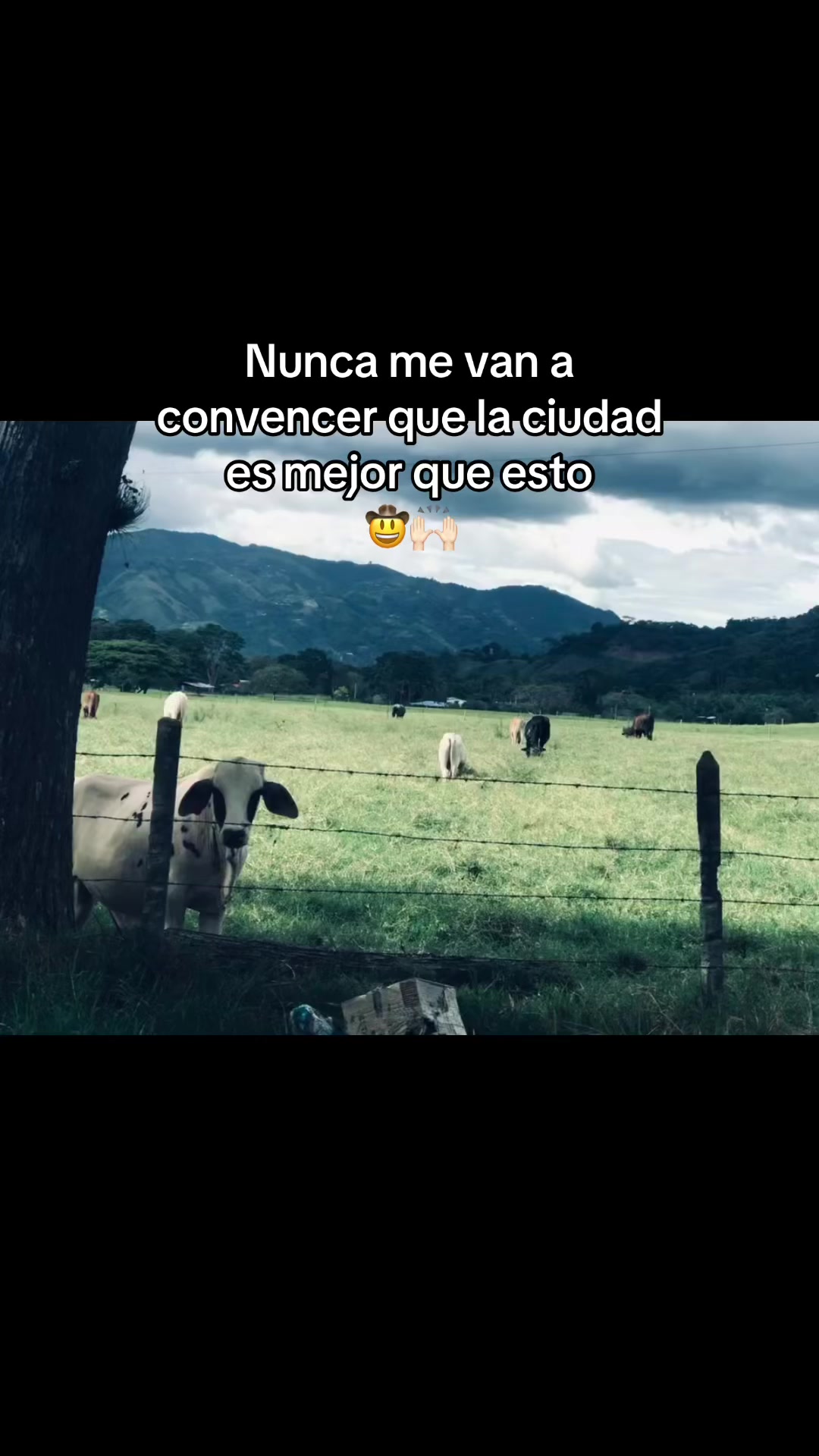 @Villa_00