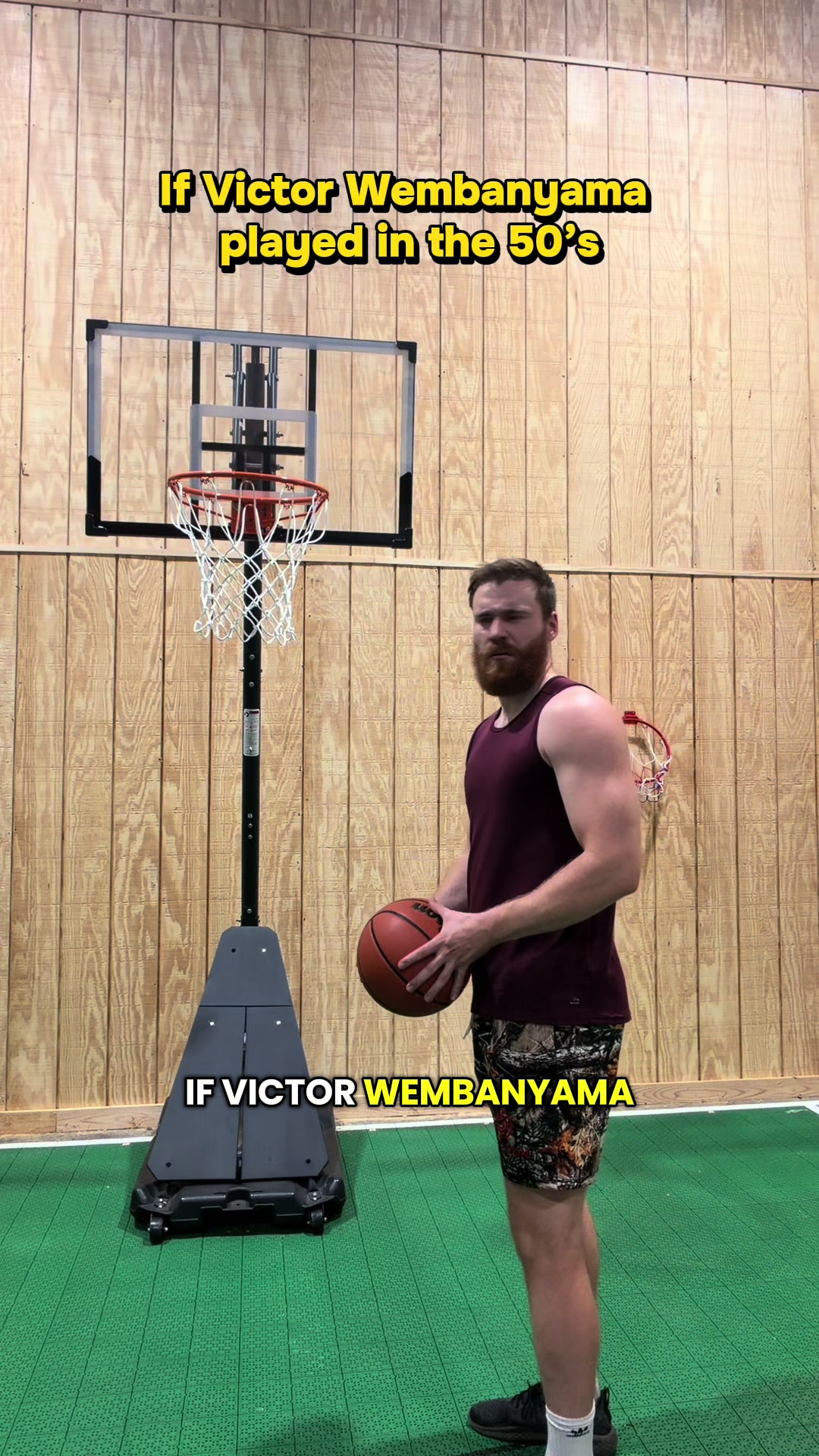 @Mr Bearded Dragon