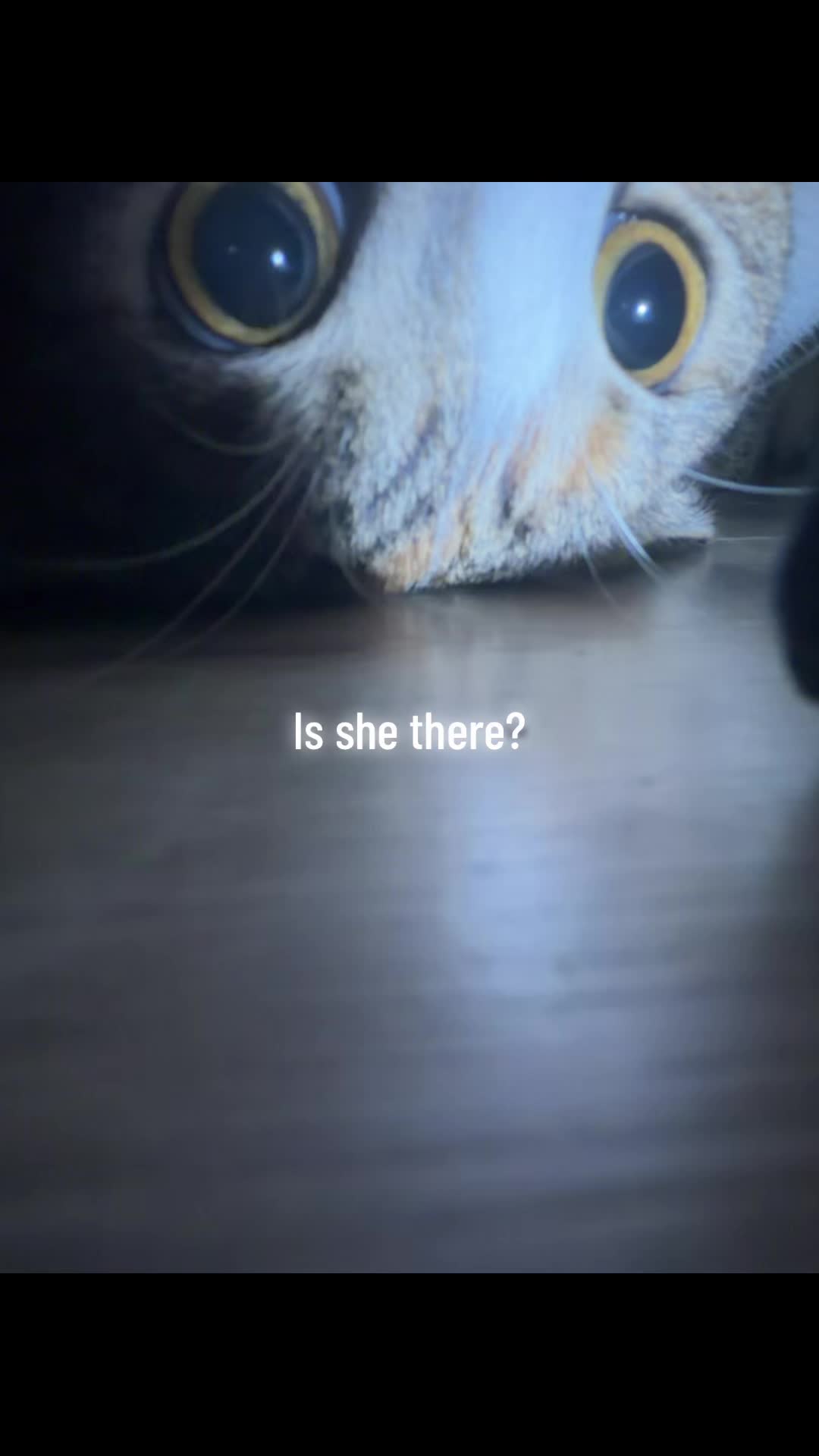 @Mya
