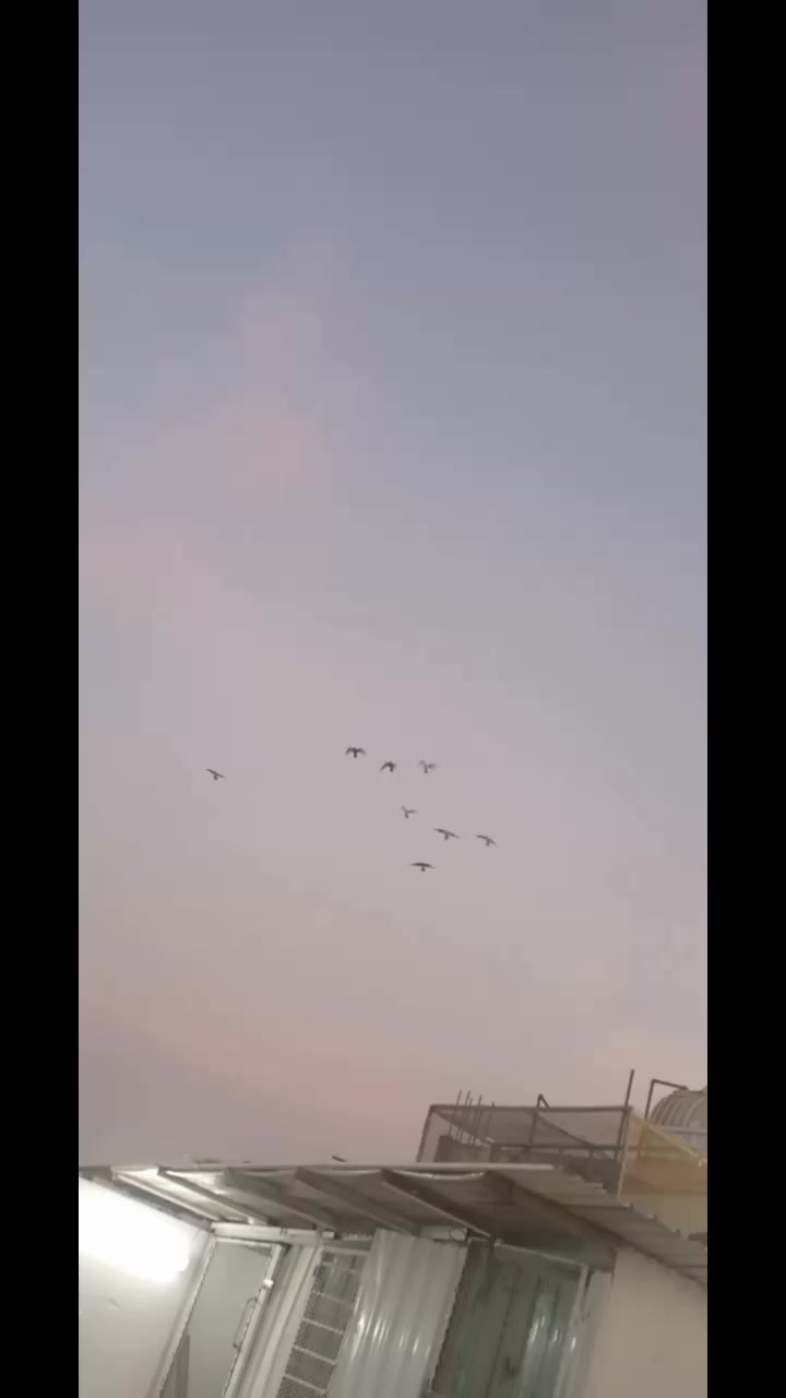 @adeelbuttar340