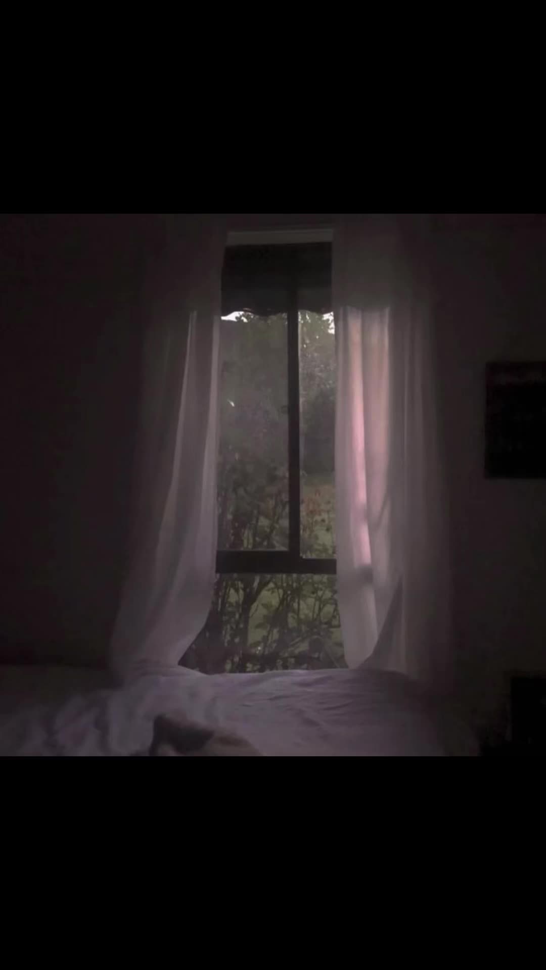 @avery.jpg