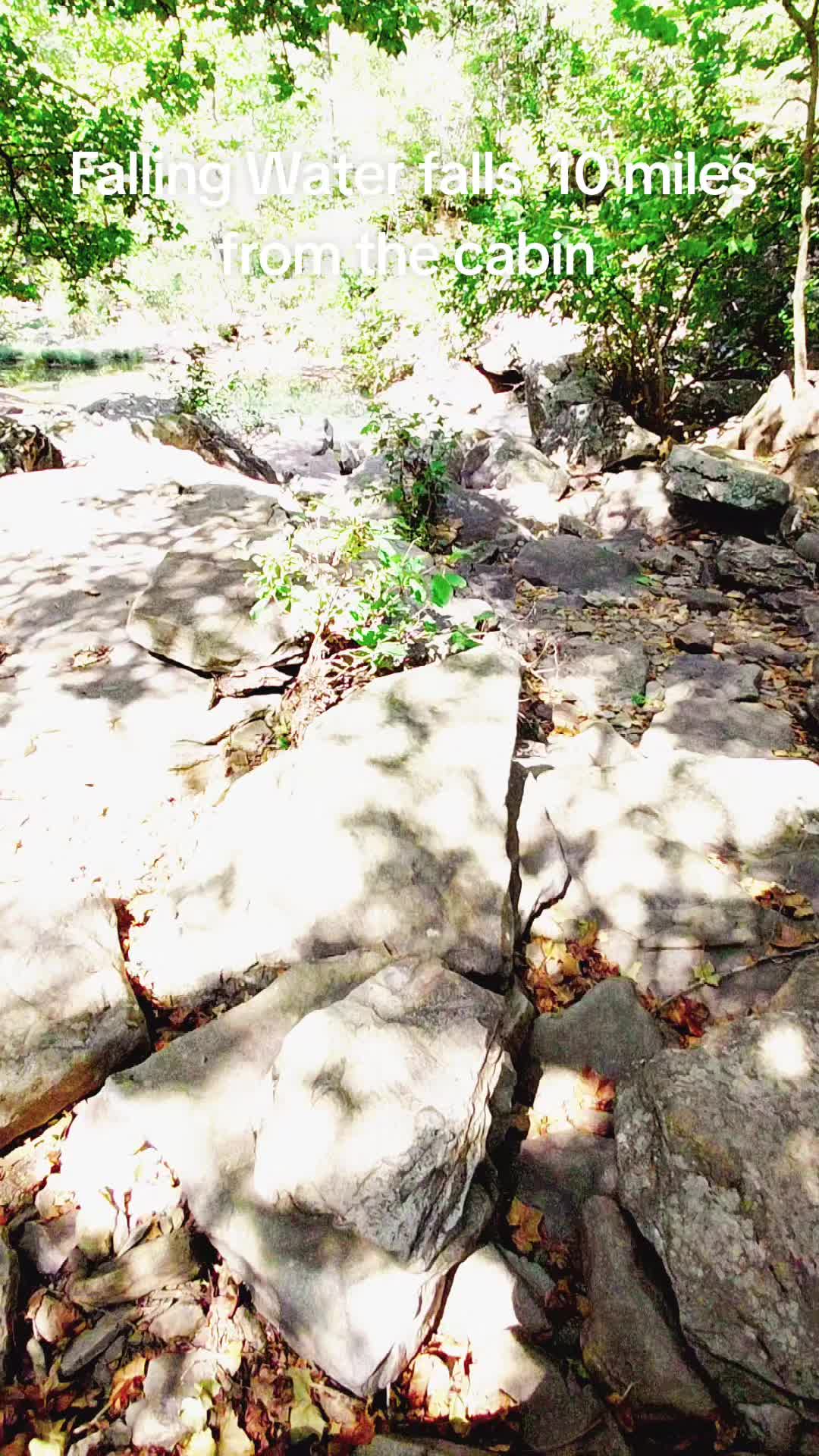 @falling water cabin