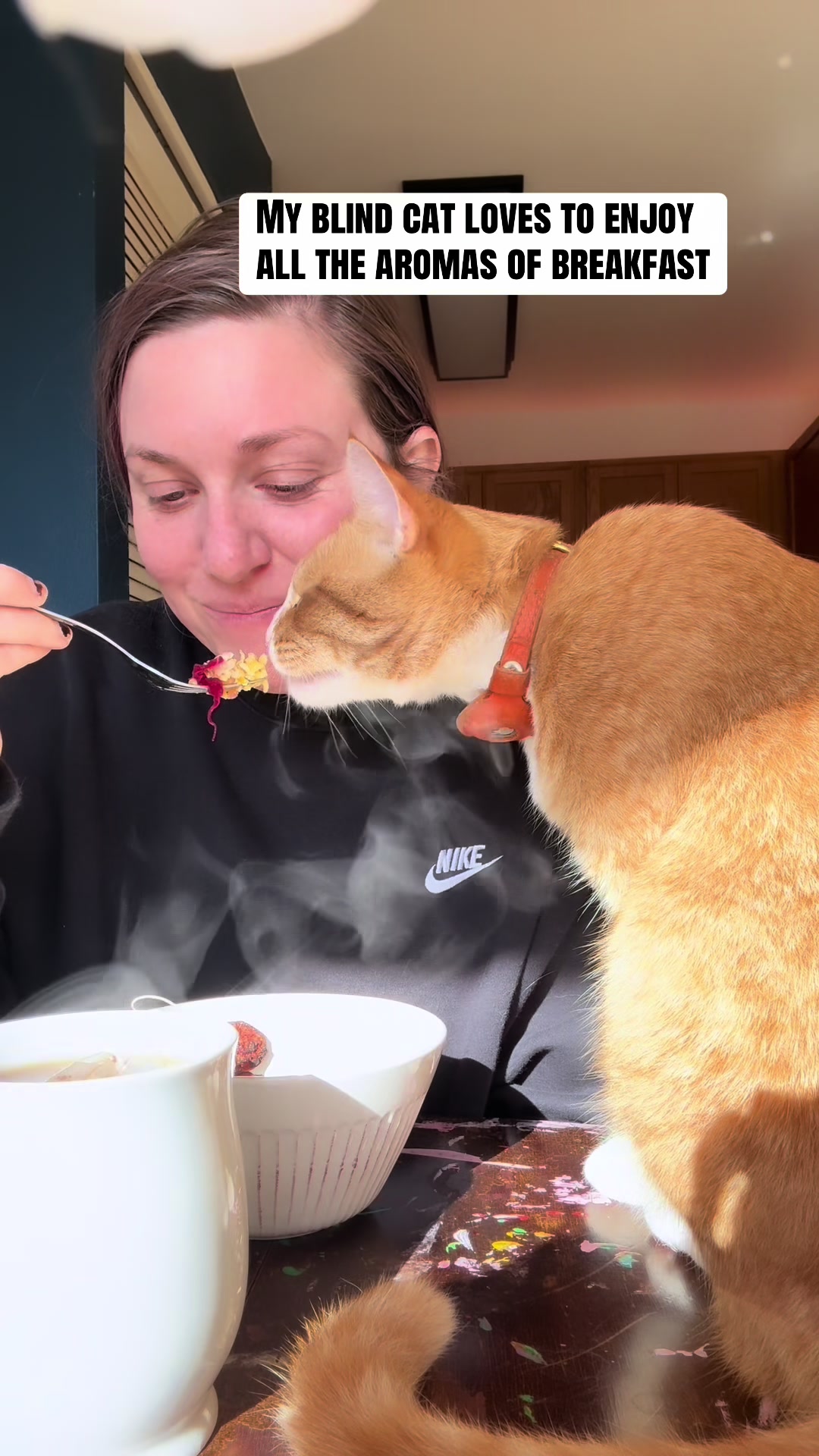 @DooDooCAT