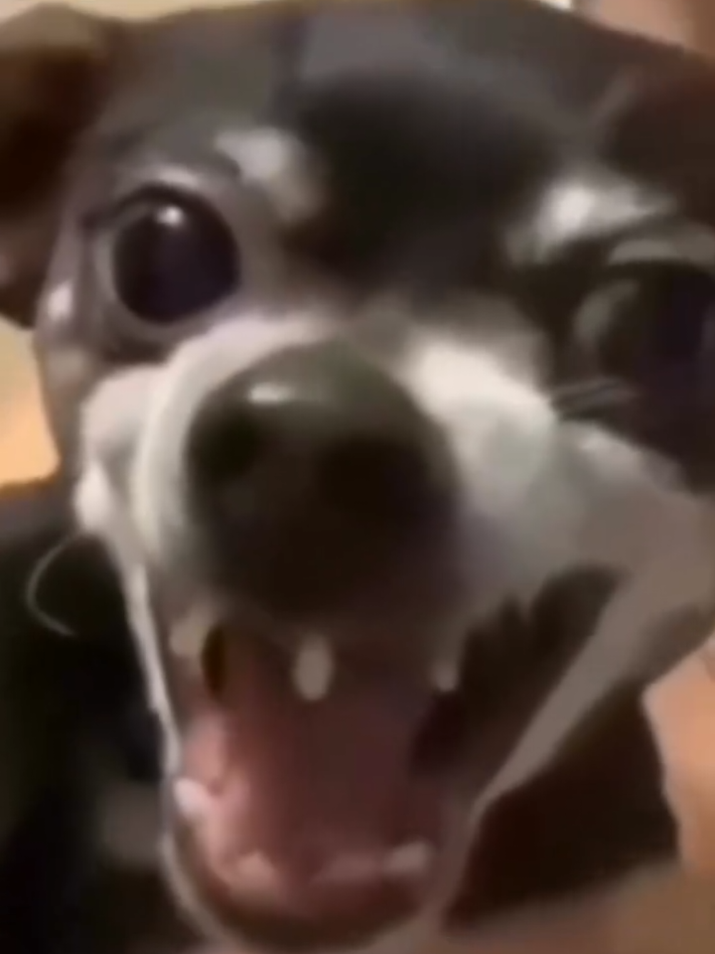 @F1r3w4ll