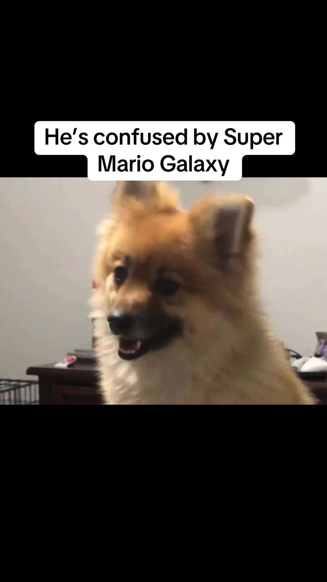 @BasedPota