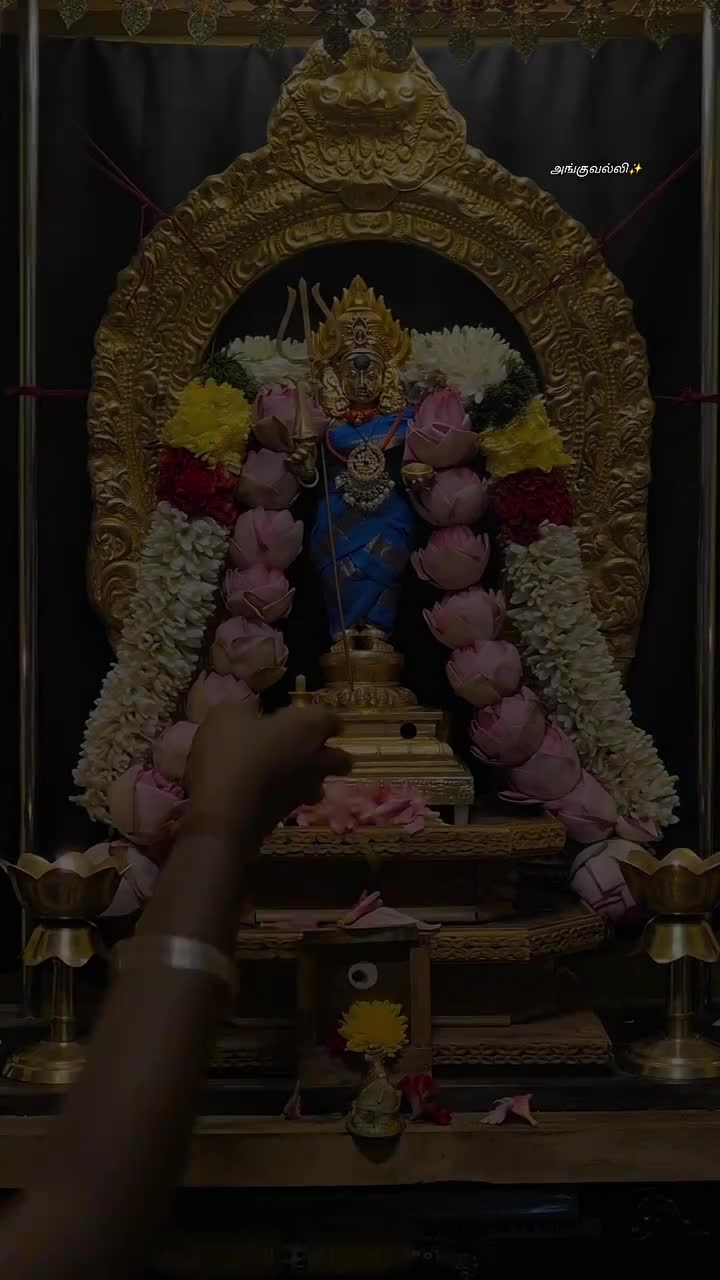 @Madi Nathan
