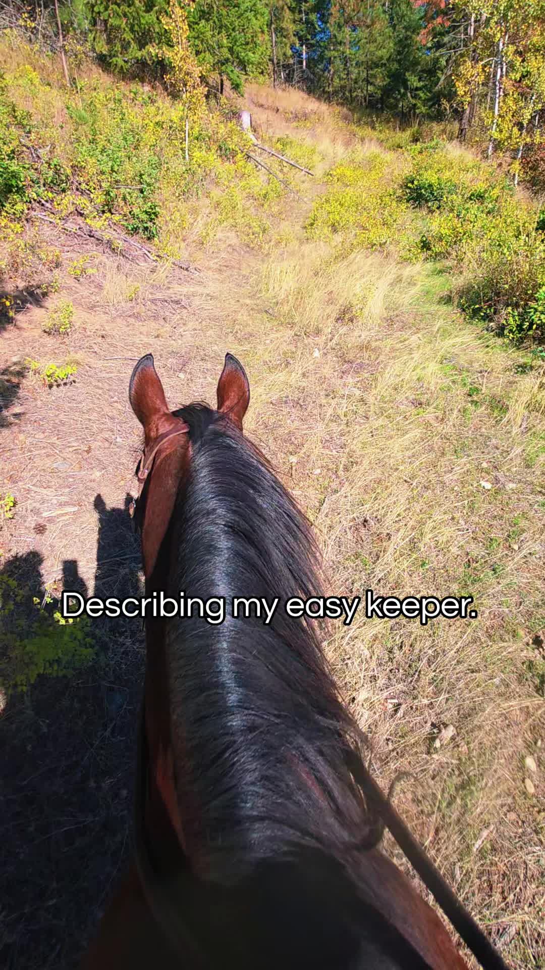 @🐴 ColdMountainRanch 🏇