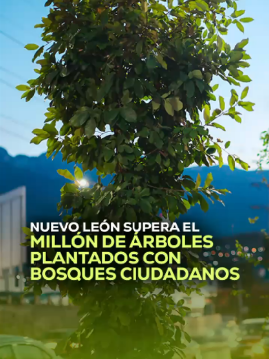 @MVS Noticias Monterrey