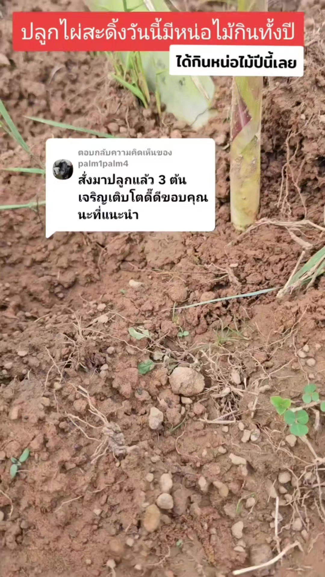 @นัดดาชอป