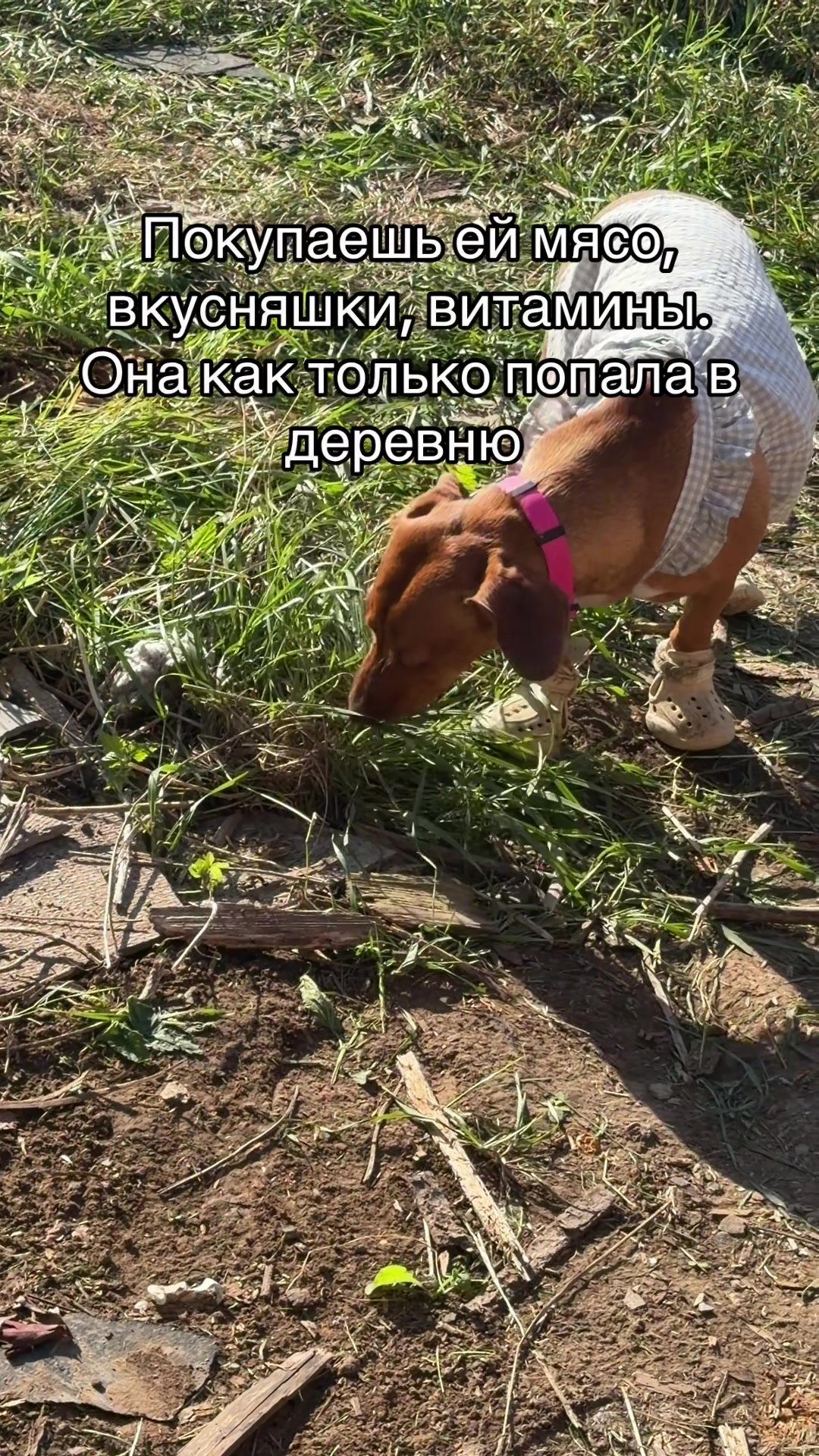 @Су Анасы 🎀