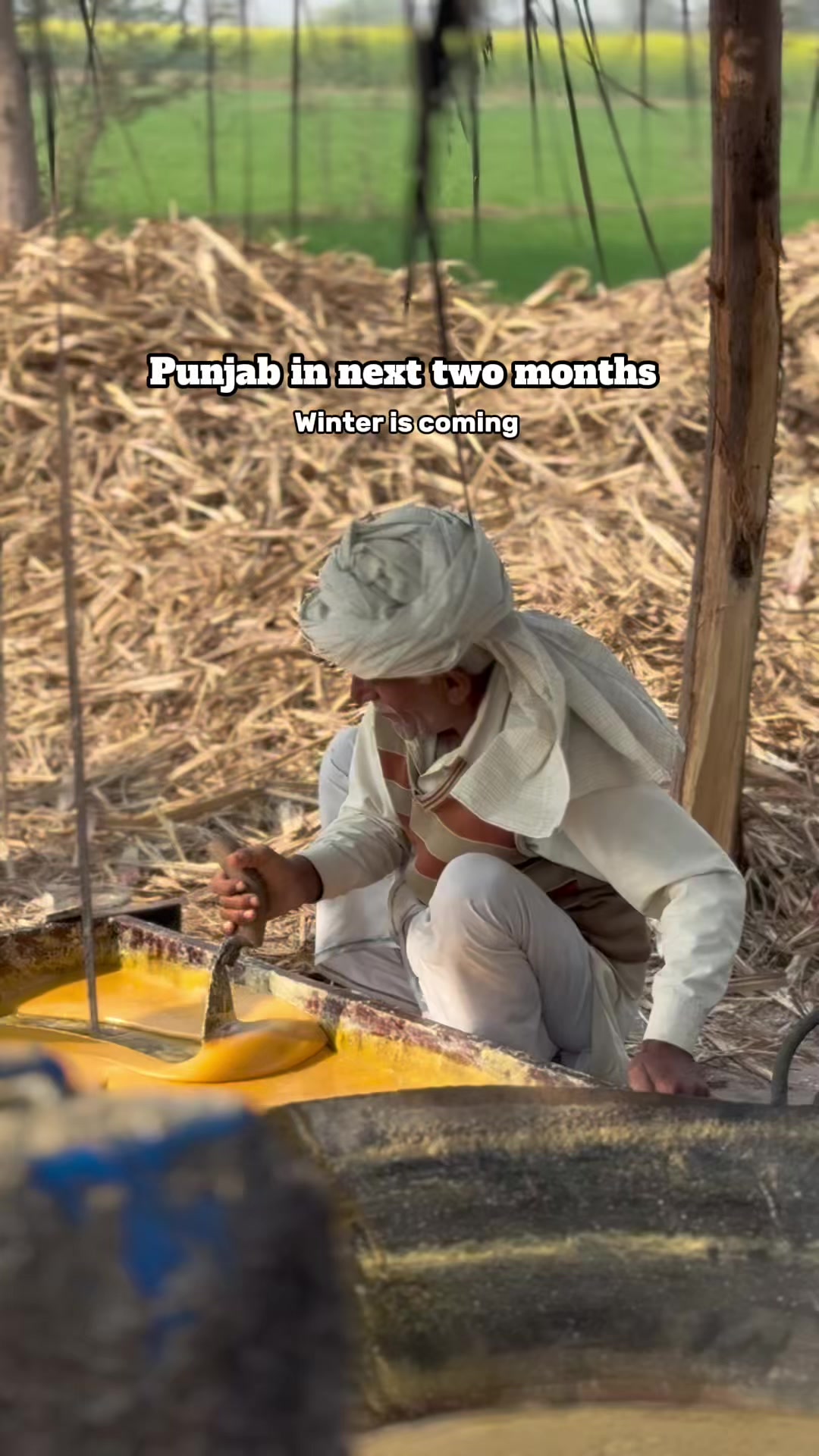 @دوستی نگر
