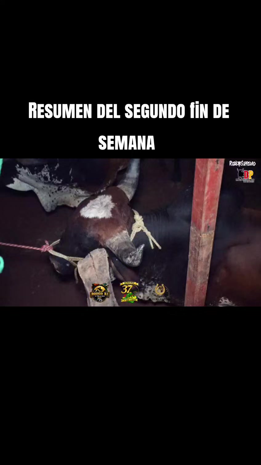 @Rodeo BJ
